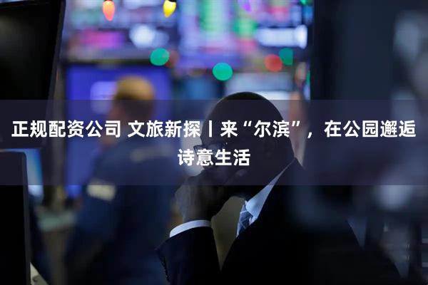 正规配资公司 文旅新探丨来“尔滨”，在公园邂逅诗意生活